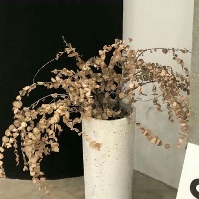 富川FurryQQ群介绍